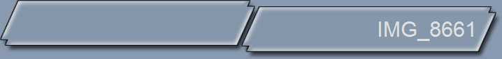 IMG_8661